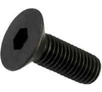 Винт Sm4-8c ZCC-CT 00001215173