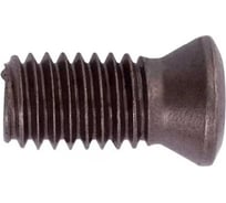 Винт M4.0x10 мм, для корпусных сверл 34-41 мм с пластиной SP DESKAR 00-00035905