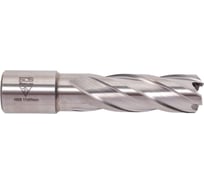 Сверло корончатое 17x55 мм, HSS БСВ 650-119695