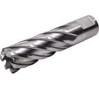 Сверло корончатое 19x55 мм, HSS БСВ 650-119697