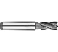 Фреза концевая тс кх 32.0x53x208 мм, КМ5, 4-п, ВК8, винт 2223-5657, ГОСТ 24637-81 ИНСТУЛС 00001848590