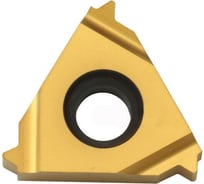 Пластина 16ER 1.0 ISO LDC DESKAR 00-00021147