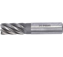 Фреза концевая (20х104х38 мм; хвостовик 20 мм; 6-зуб; Р6М5) Туламаш 150165 16216157