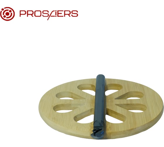 Державка S25R-SSSCL09 PROSAERS 33737