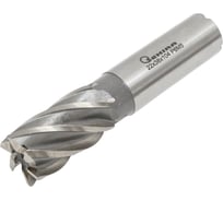 Фреза концевая 22x38x104 мм, Z=6, ц/х, Р6М5 Sekira 00000028390