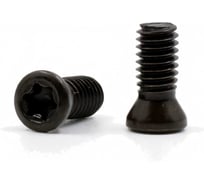 Винт для крепления пластин M5x12 Deskar 00-00035201
