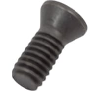 Винт для крепления пластин M2.5x6 Deskar 00-00020419