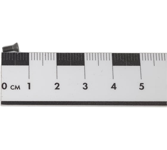 Винт для крепления пластин M2.5x6 Deskar 00-00020419