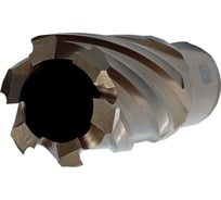 Сверло корончатое 22x30 мм, Weldon 19 ФТ 131022