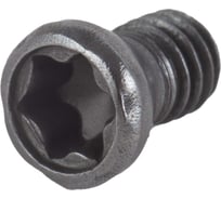 Винт Standard TL60 M5x11 Debever Machining Solutions DB-S-TL60M50110