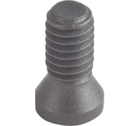 Винт прижима Standard TTL60M2.5x6.5 Debever Machining Solutions DB-S-TTL60M2565