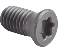 Винт прижима Standard TL60 M5x10 Debever Machining Solutions DB-S-TL60M5100