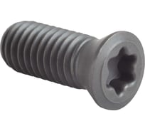 Винт прижима Standard TL60M5x12 Debever Machining Solutions DB-S-TL60M5120