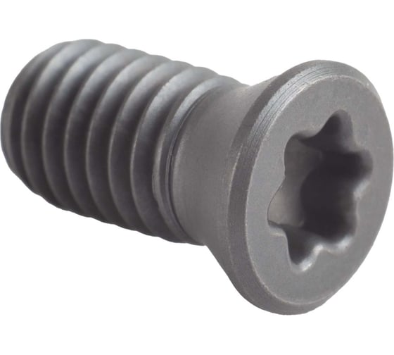Винт прижима Standard TL60M4x11 Debever Machining Solutions DB-S-TL60M4110 1