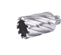 Фреза кольцевая №39 (45х55/88 мм; WELDON19; HSS M2) Профоснастка 40101039