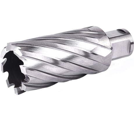 Фреза кольцевая №29 (35х55/88 мм; WELDON19; HSS M2) Профоснастка 40101029