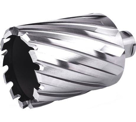 Фреза кольцевая №45 (51х55/88 мм; WELDON19; HSS M2) Профоснастка 40101045