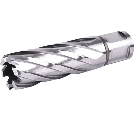 Фреза кольцевая №14 (21х55/88 мм; WELDON19; HSS M2) Профоснастка 40101014