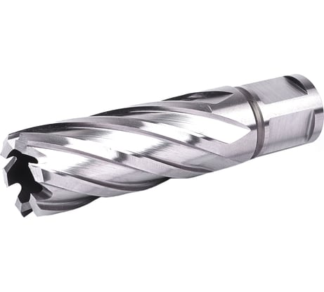 Фреза кольцевая №13 (20х55/88 мм; WELDON19; HSS M2) Профоснастка 40101013