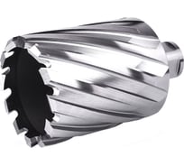 Фреза кольцевая №53 (59х55/88 мм; WELDON19; HSS M2) Профоснастка 40101053