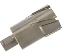 Сверло корончатое TCT (45х50 мм; Weldon 19) AT-S TN5045