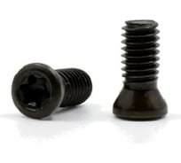 Винт для крепления пластин M3x6 DESKAR 00-00039857