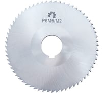 Фреза отрезная Р6М5 (160х1.6х32 мм; тип2; Z=80) WOLFSTAR cm16216