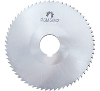 Фреза отрезная (125х6.0х22 мм; тип2; Z=40; Р6М5) WOLFSTAR cm12260