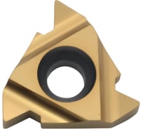 Пластина резьбовая 16IR 3.0 ISO LDC DESKAR 00-00021296