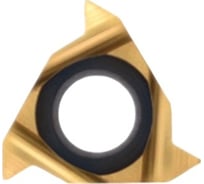 Пластина резьбовая 08IR A55 LDC DESKAR 00-00021100