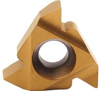 Пластина резьбовая 16IR AG60 LDC DESKAR 00-00021315