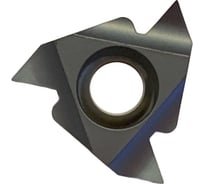 Пластина резьбовая 16IR AG60 LDA DESKAR 00-00021314