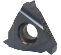 Пластина резьбовая 16ER 12W LDA DESKAR 00-00021170