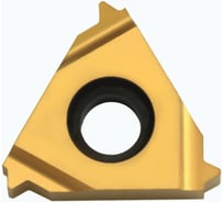 Пластина резьбовая 16IR 18NPT LDC DESKAR 00-00021274