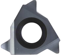 Пластина резьбовая 16ER 16W LDA DESKAR 00-00021178