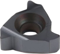 Пластина резьбовая 11IR 16W LDA DESKAR 00-00021131