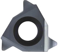 Пластина резьбовая 16ER 8W LDA DESKAR 00-00021203