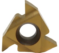 Пластина резьбовая 16IR AG55 LDC DESKAR 00-00021312