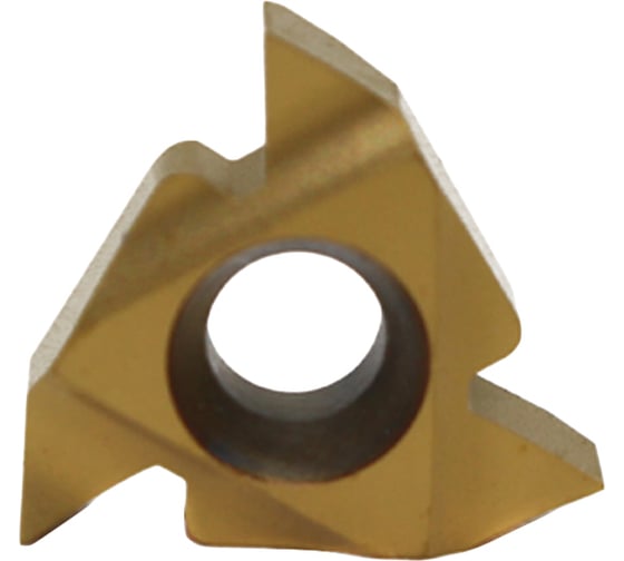 Пластина резьбовая 16IR AG55 LDC DESKAR 00-00021312 1