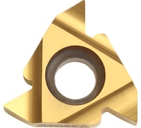 Пластина резьбовая 16ER AG55 LDC DESKAR 00-00021210