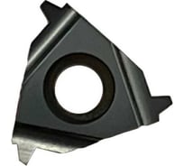 Пластина резьбовая 16IR 2.5TR LDA DESKAR 00-00021290