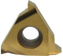 Пластина резьбовая 16IR A55 LDC DESKAR 00-00021306