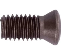 Винт для корпусных сверл M2.5x7 21-24.5 с пластиной WC DESKAR 00-00043330