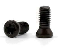 Винт для крепления пластин M4.0x16 DESKAR 00-00038078 33769393