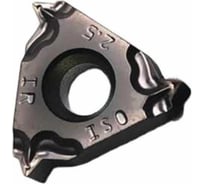 Пластина резьбовая 16IRM 2.5 ISO LF6018 DESKAR 00-00021347