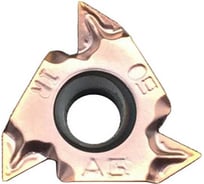 Пластина резьбовая 16IRM AG60 LF6018 DESKAR 00-00021353