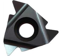 Пластина резьбовая 22IR N55 LDA DESKAR 00-00021395