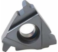 Пластина резьбовая 22IR 6 ACME LDA DESKAR 00-00021390