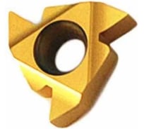 Пластина резьбовая 22IR N55 LDC DESKAR 00-00021396