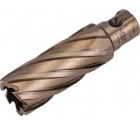 Сверло корончатое (25х55 мм; Weldon 19) LENZ LZHM-025